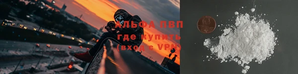 СК Новозыбков