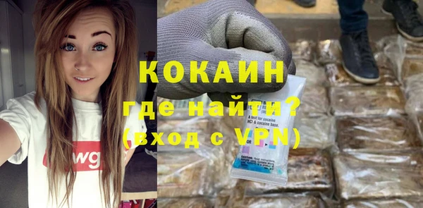 СК Новозыбков