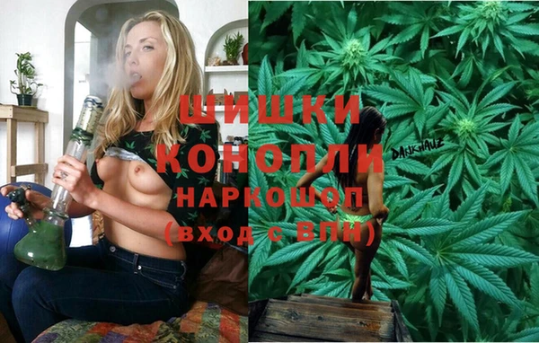 СК Новозыбков