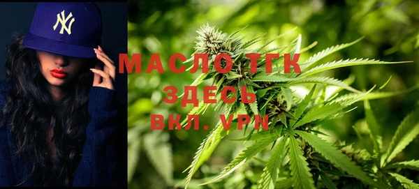 СК Новозыбков