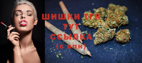 СК Новозыбков