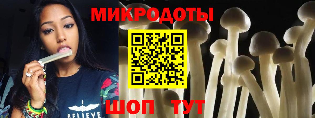 Псилоцибиновые грибы прущие грибы Кимовск