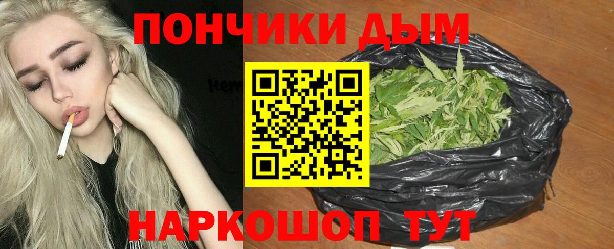 Шишки марихуана семена Кимовск